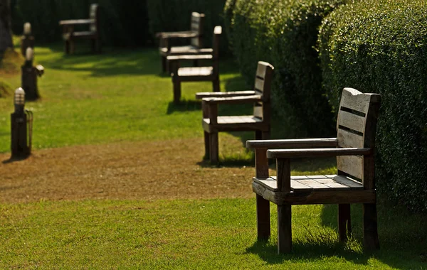 Wood bench in garden — Stock Photo, Image