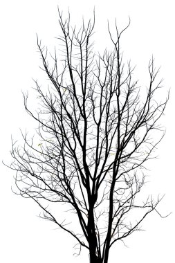 Dead tree clipart