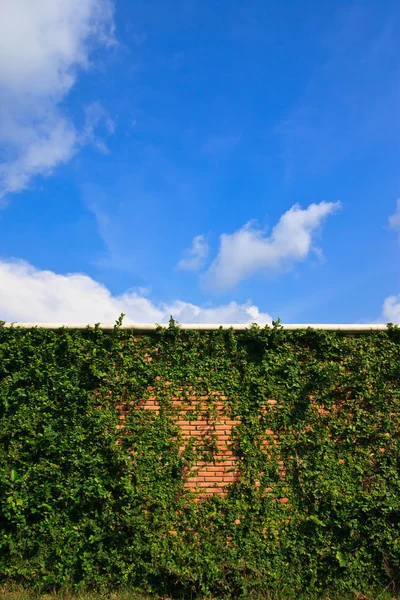 stock image Wall and blue sky