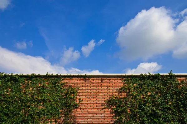 Wall and blue sky — Stock Photo, Image