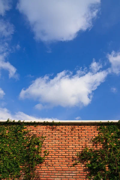 Стена и голубое небо — стоковое фото