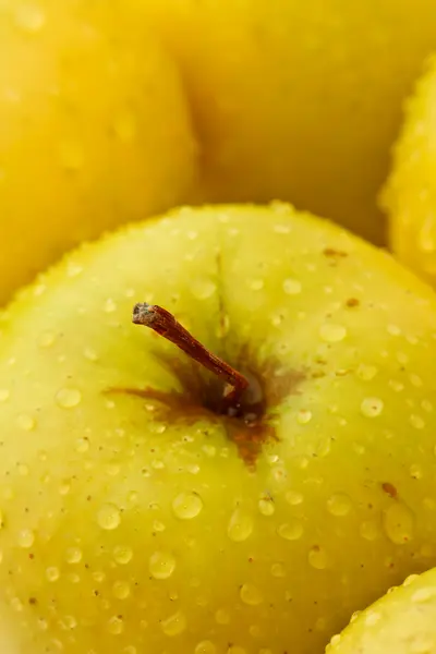 stock image Drops of water on green apples