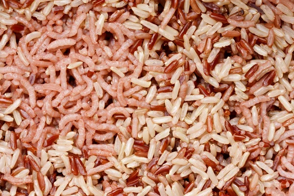 Grano de arroz hervido, listo para comer — Foto de Stock