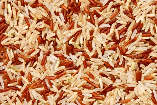 混栽稻粒 — 图库照片