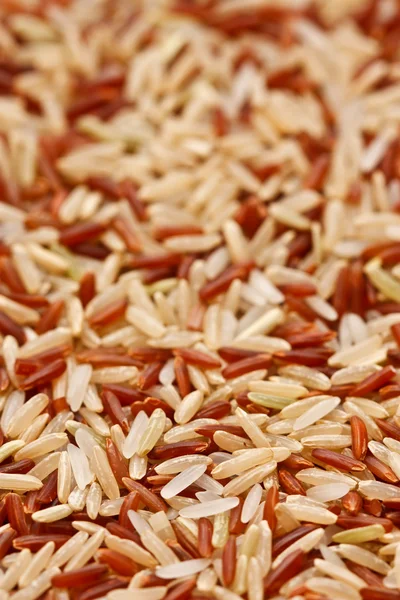 Mixed rice grain — Stock Photo, Image