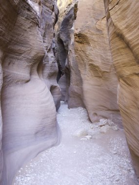 yuvası kanyona Güney utah