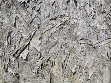 Grunge background wood texture clipart