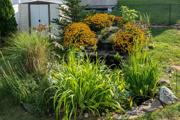 Pond in the garden — Stock Photo, Image