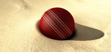 Cricket Ball Buried In Sand