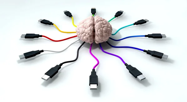 Connected Mind — Stock Photo, Image