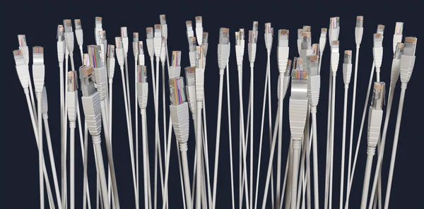 Ethernet Cable Collection Facing Upwards — Stock Photo, Image