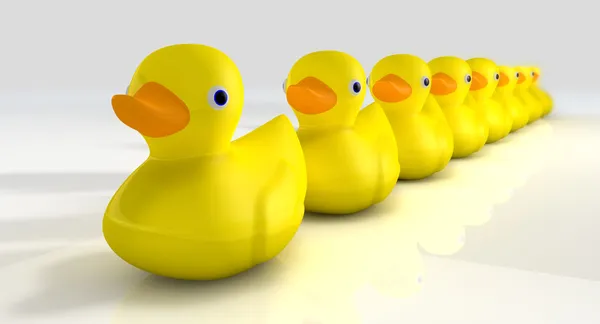 Get All Your Rubber Ducks In A Row — Stock Photo, Image