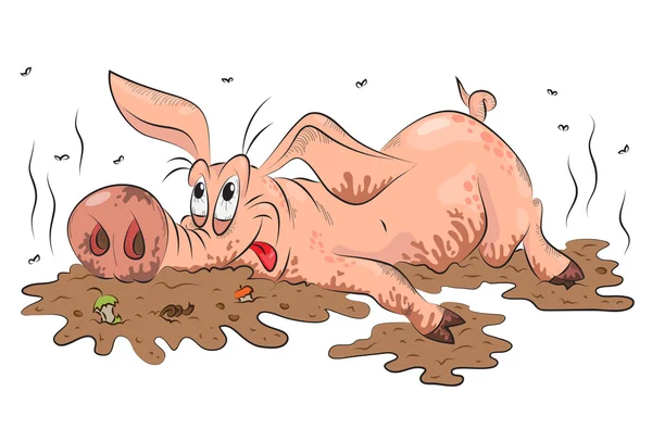 Śmieszna świnia — Wektor stockowy