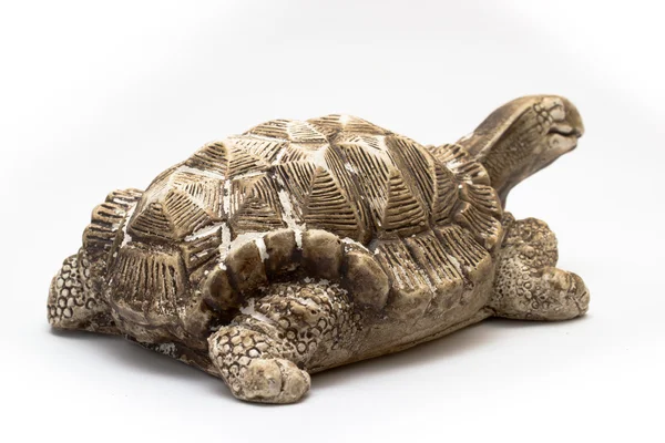 Dekorativa sköldpadda — Stockfoto