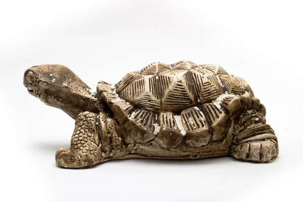 Decoratieve schildpad — Stok fotoğraf