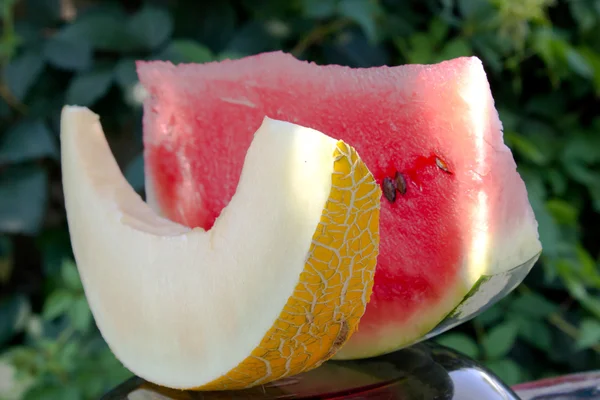 Watermelon and cantaloupe — Stock Photo, Image