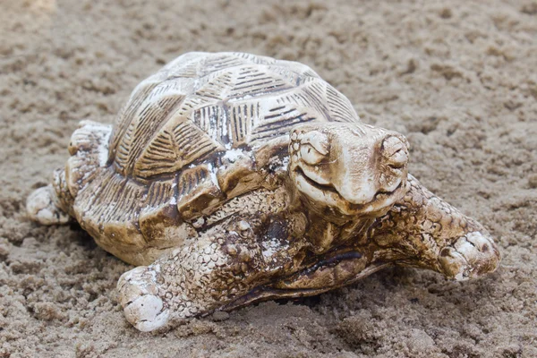 Żółw na plaży — Zdjęcie stockowe