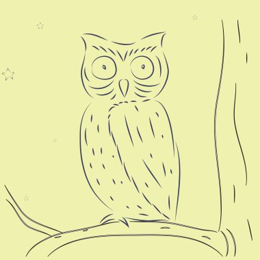 Hand draw owl on tree clipart