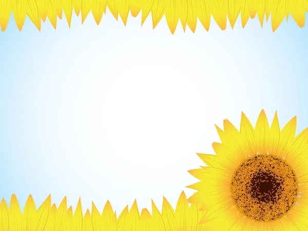 Latar Belakang Bunga Matahari - Stok Vektor