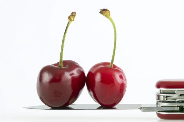 Red cherries Stock Image