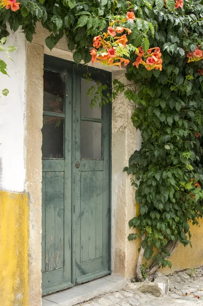 stock image Old door