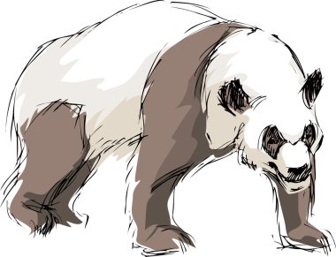 Drawn a panda