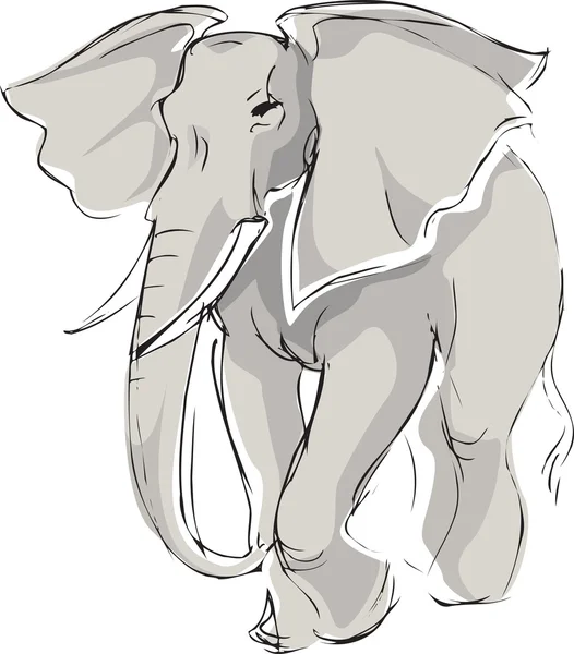 Der gezeichnete Elefant — Stockvektor
