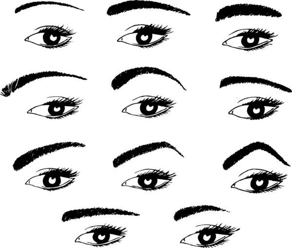 Various shapes of eyebrows — Stock Vector