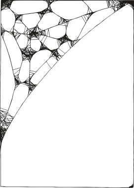 SpiderWeb