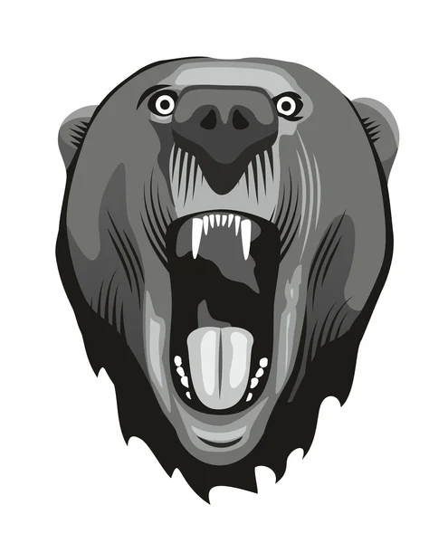 Bear hoofd — Stockvector