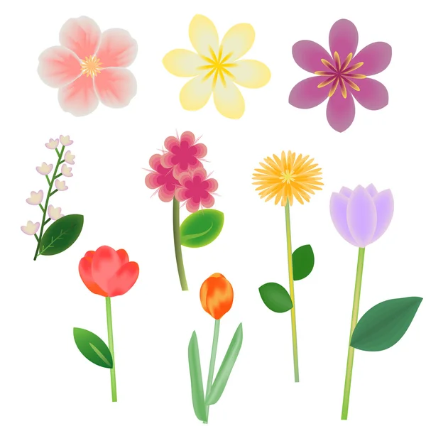 Flores vectoriales — Vector de stock