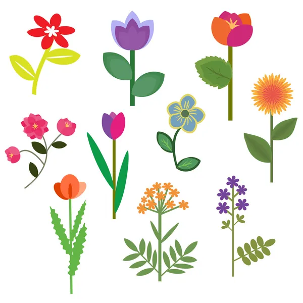 Квіти набір — стоковий вектор