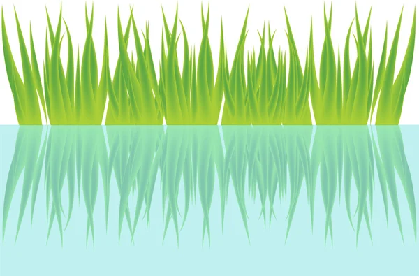 Трава и вода — стоковый вектор