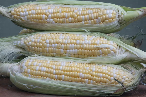 Fresh Corn on the Cob — Stock Photo, Image