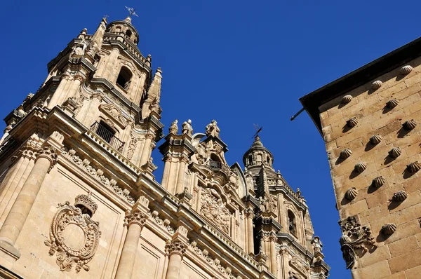 Casa de Conchas y Universidad de Salamanca —  Fotos de Stock