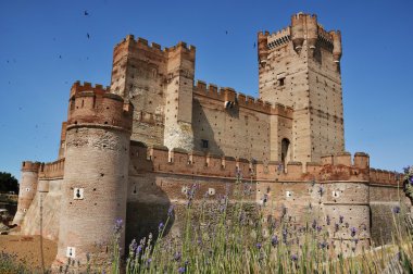 Castle of La Mota clipart