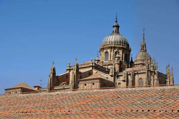 Cattedrale di Salamanca e Convento di Las DueLiguas — Foto Stock
