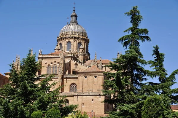 Kathedraal van Salamanca — Stockfoto