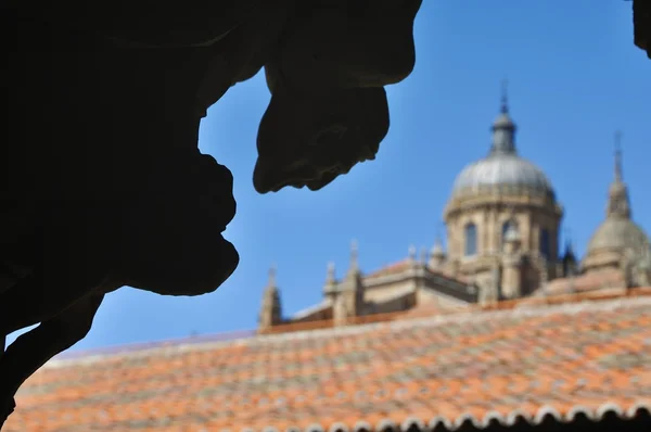 Salamanca ve heykelin gölgesinin katedral — Stok fotoğraf
