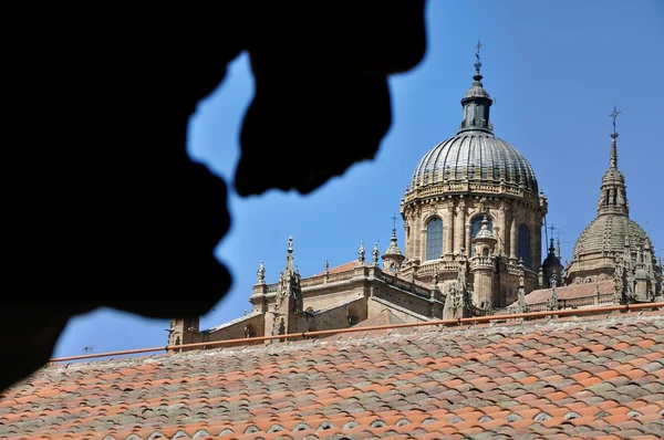 Cathedral of Salamanca and a Statue Shadow — Stock Photo, Image