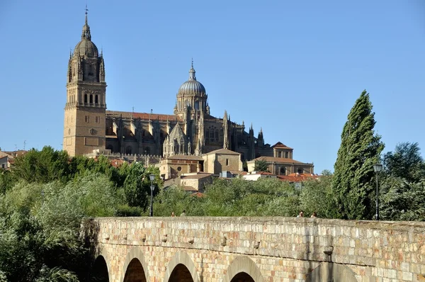 Puente romano ve yeni bir katedral — Stok fotoğraf