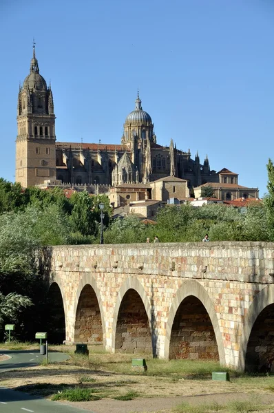Puente Romano and New Cathedral (Vertical) — Stock Photo, Image