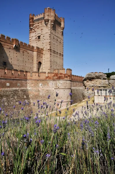 Castello di La Mota (Verticale ) — Foto Stock