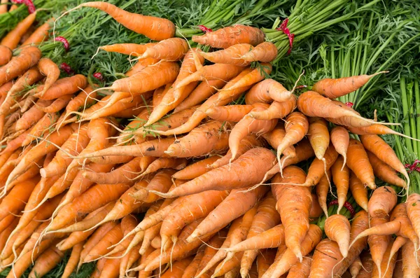 Verse wortelen geplukt en op het display — Stockfoto
