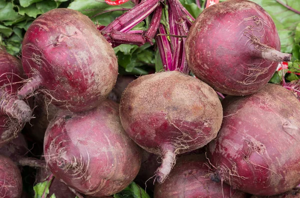 Beets fresh picked and ready for sale — Stock Photo, Image