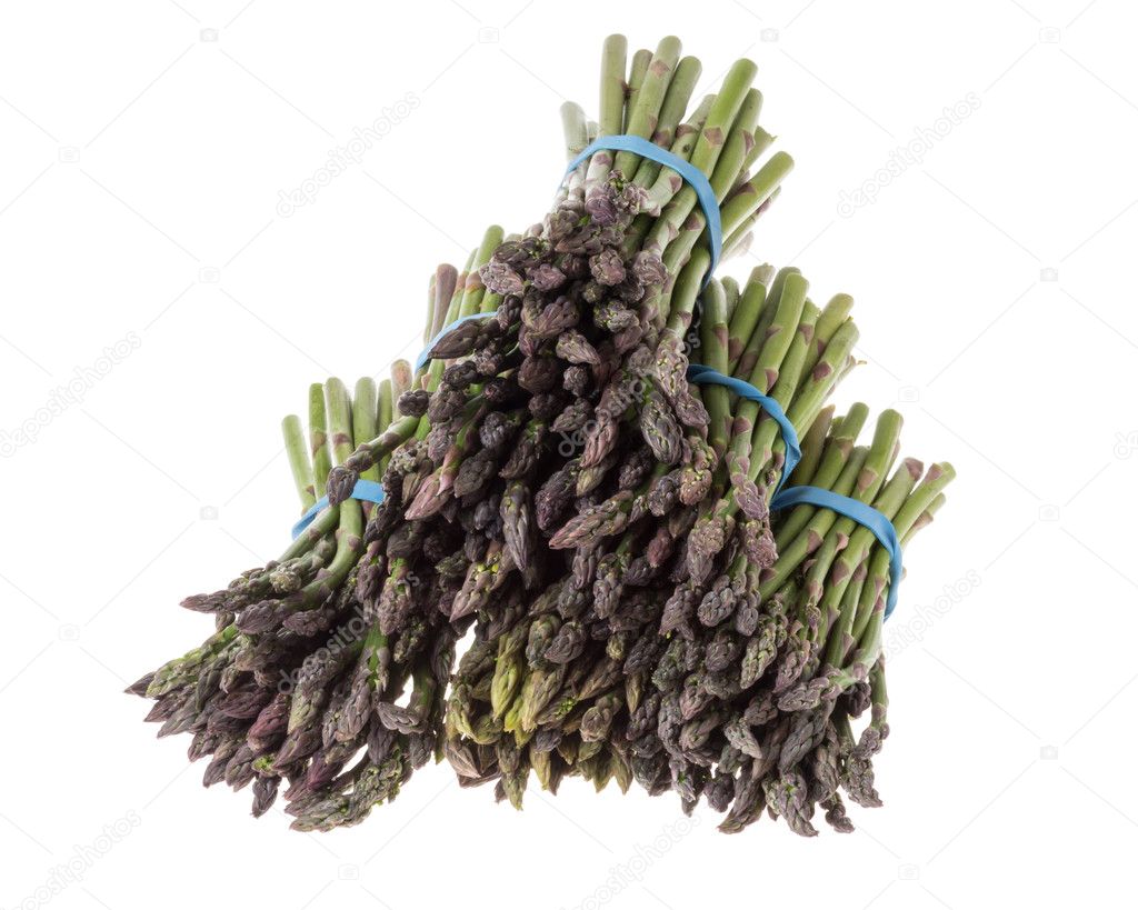 Fresh asparagus spears bundled and isolated