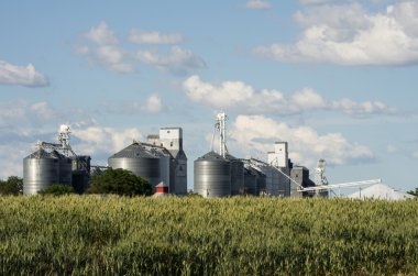 Group of metal grain silos clipart