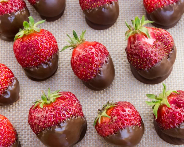 Căpșuni acoperite cu ciocolată — Fotografie, imagine de stoc