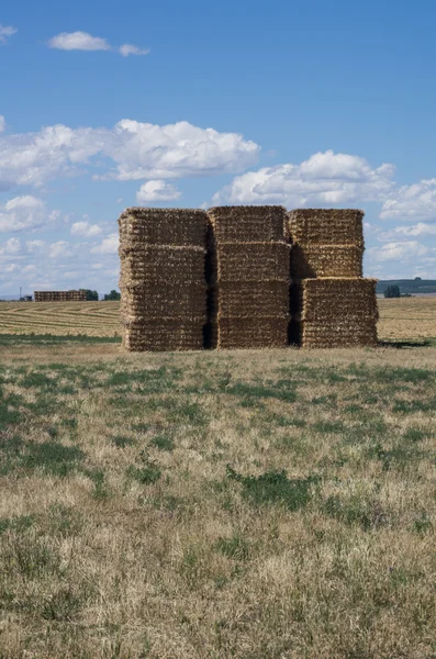 Stack of hay bales under blue sky with clouds — Stock Photo, Image