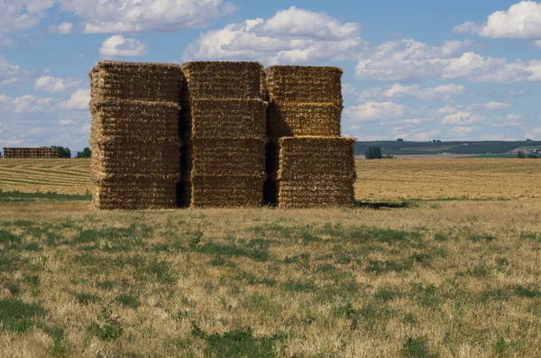 Large stack of hay bales under cloud studded sky — Stock Photo, Image